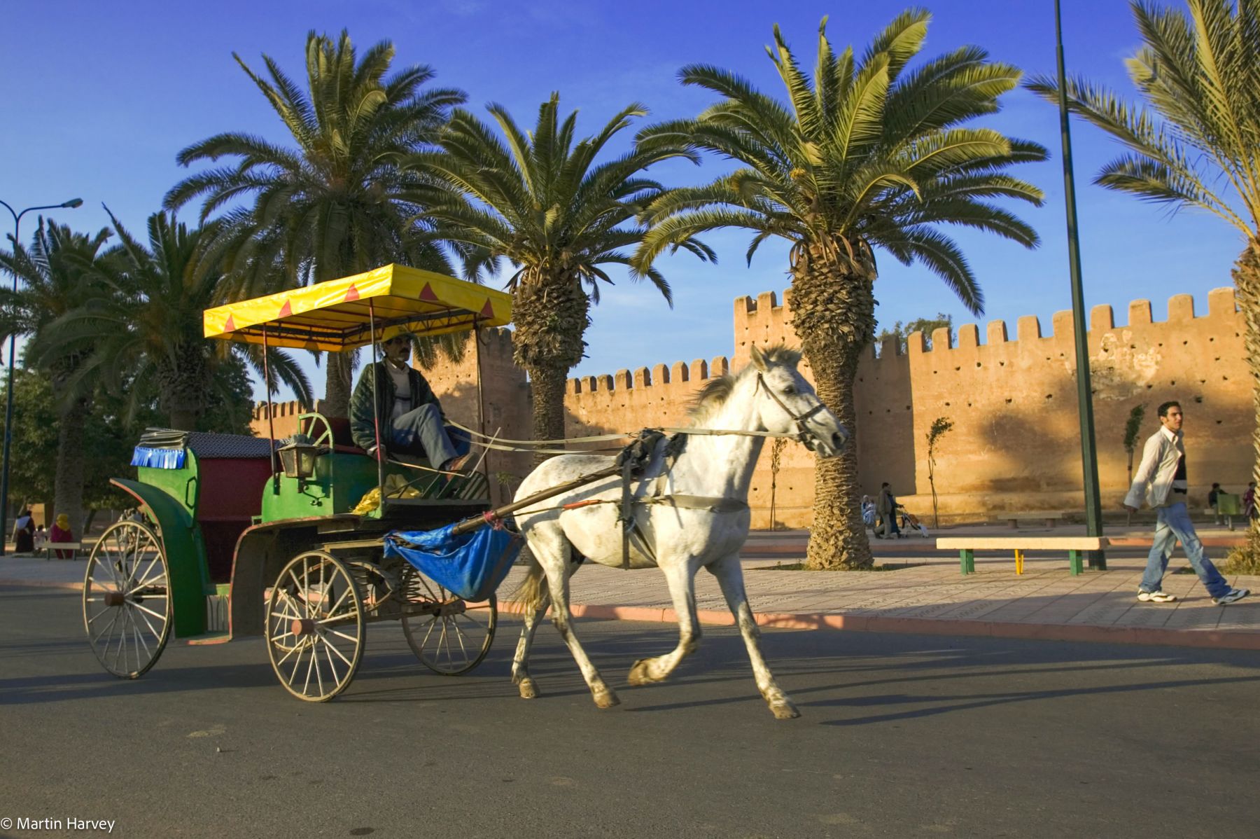 Taroudant traditional souks and markets
